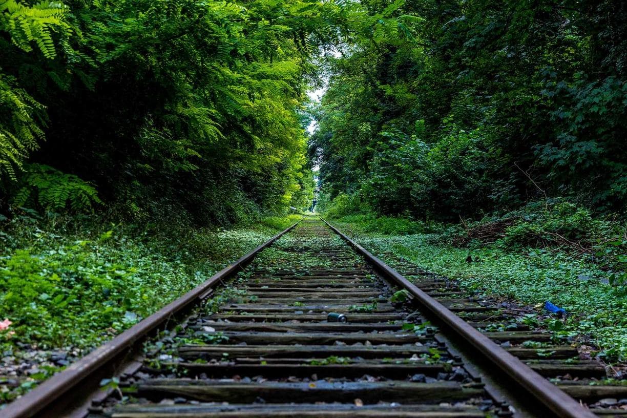 Est eaque voluptas molestiae tempora fugit